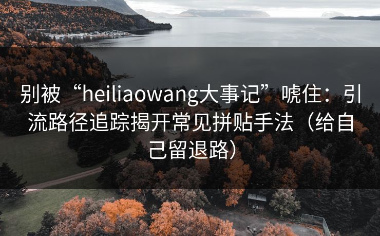 别被“heiliaowang大事记”唬住:引流路径追踪揭开常见拼贴手法(给自己留退路)